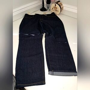 Ann Taylor Dark Wash Curvy Fit Cropped Leg Size 14 NWT